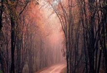 情结复杂！克拉玛依新骑队对哈密巨龙队，对轰熊熊