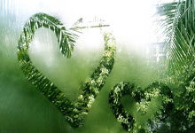 拉齐奥客场不敌佛罗伦萨，吞下失利